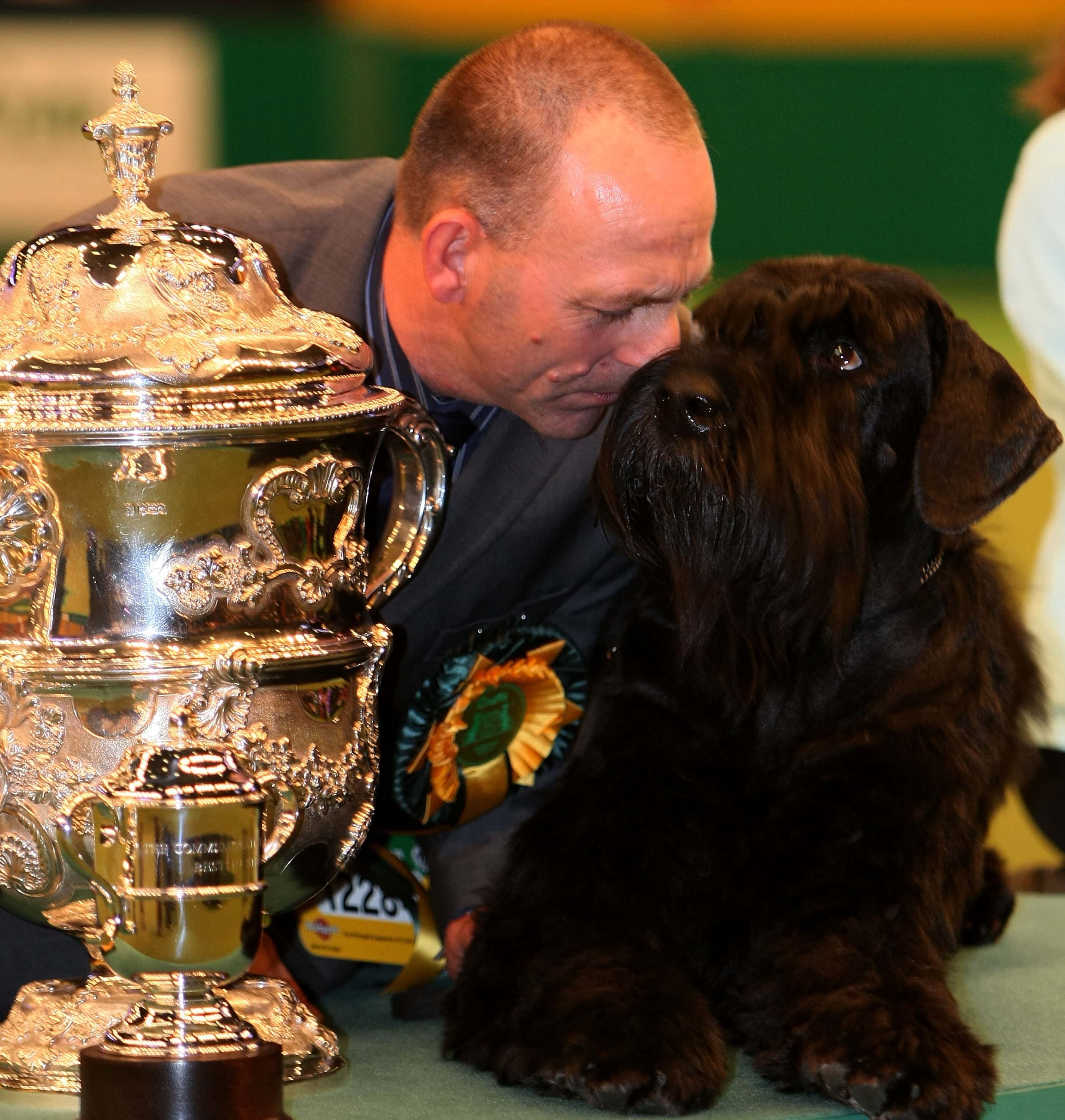 Giant Schnauzer Phillipe, also know as Jafrak Phillipe Oilivier is kissed by his owner Kevin Cullen after winning 'Best in Show' at the 2008 Crufts dog show on March 9, 2008 in Birmingham, England. Over 23,000 top pedigree dogs from around the world  competed in over 2,000 individual classes, at the National Exhibition Centre,  for the prestigious title of