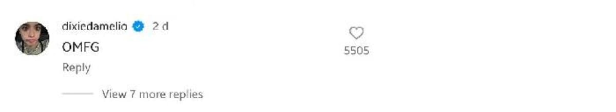 Dixie D'Amelio commented on Alix Earle's picture (alixearle/ Instagram)