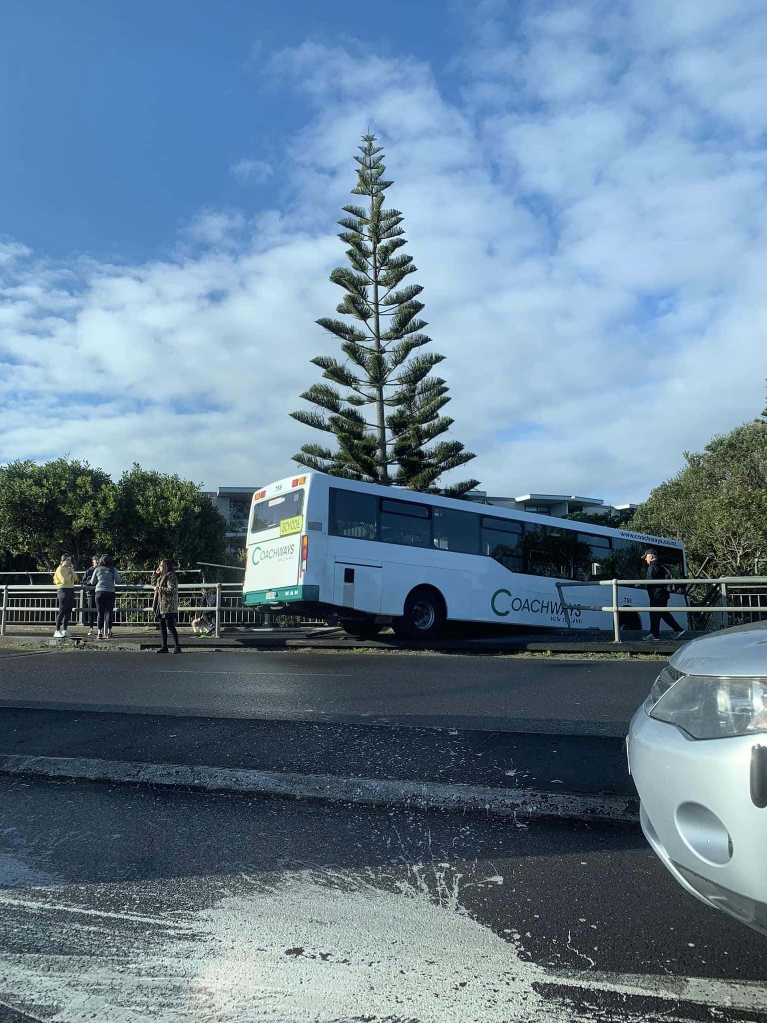 (photo by Glenda Fryer/Facebook)