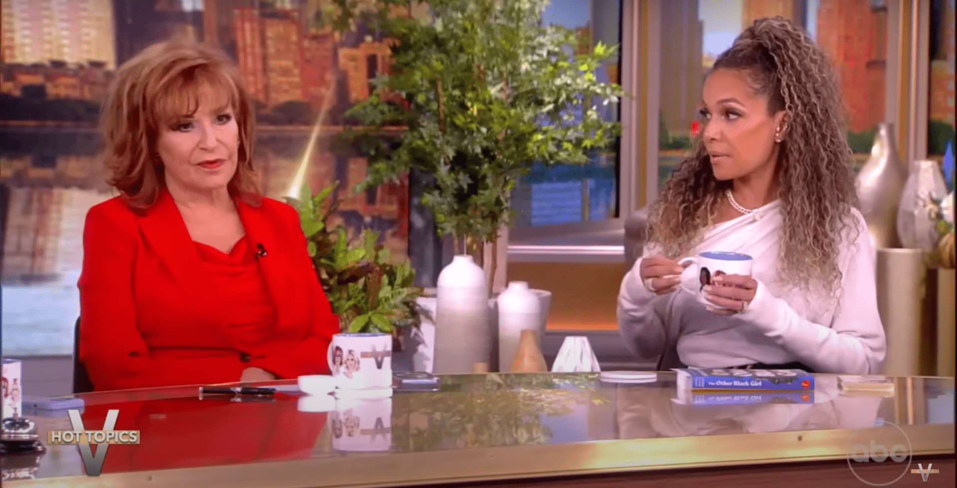 Joy Behar shuts down Sunny Hostin's statement by calling it 'irrelevant' (YouTube/TheView)
