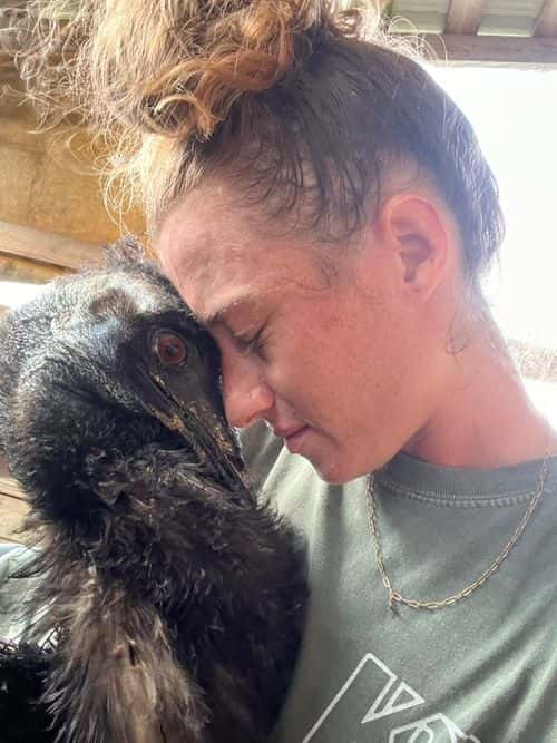 Taylor has been posting updates about her sick emu Emmanuel on social media ever since the epidemic destroyed her farm in South Florida. (Hittaylorblake/Twitter)