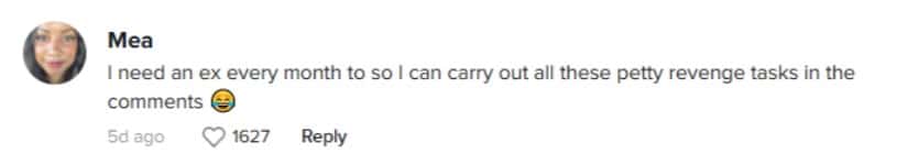A user Mea said she would like an ex every month to do such pranks (@carrieanneburke6/TikTok)