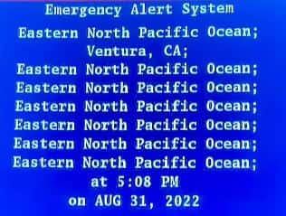 The warning was accidentally issued on Wednesday (CalliKatBird/Twitter)