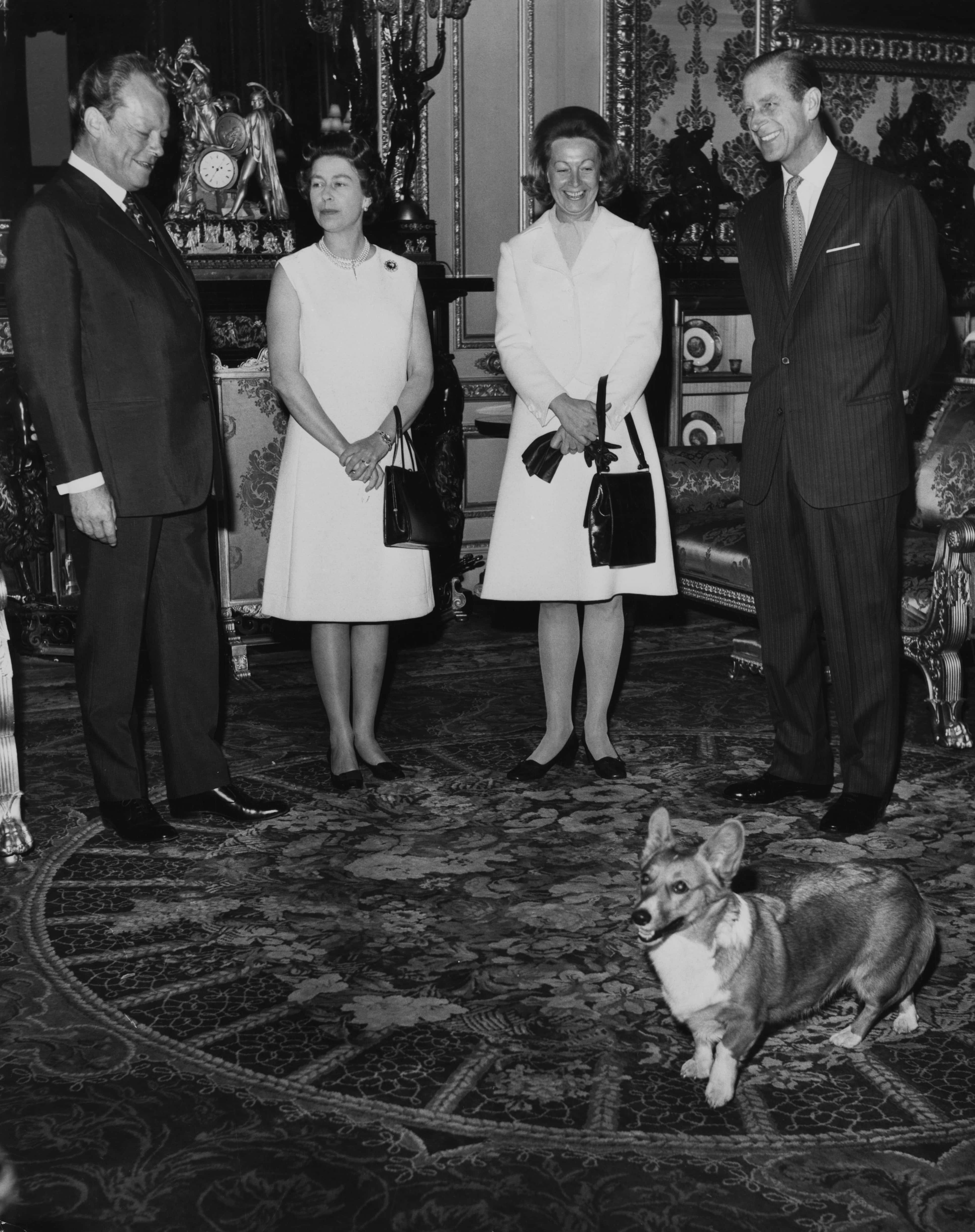 From left to right, West German Chancellor Willy Brandt (1913 - 1992), Queen Elizabeth II, Brandt's wife Rut, and the Duke of Edinburgh at Windsor Castle during the Brandts' visit to England, 20th April 1972. They are amused by the antics of one of the royal corgis.  (Photo by Douglas Miller/Keystone/Hulton Archive/Getty Images)
