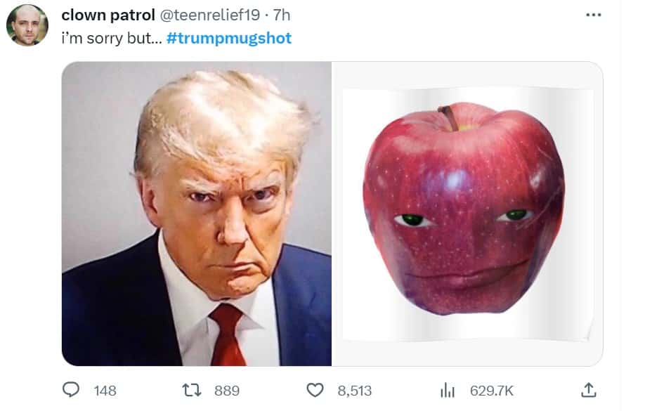 Mugshot meme #3 (X/@
@teenrelief19)