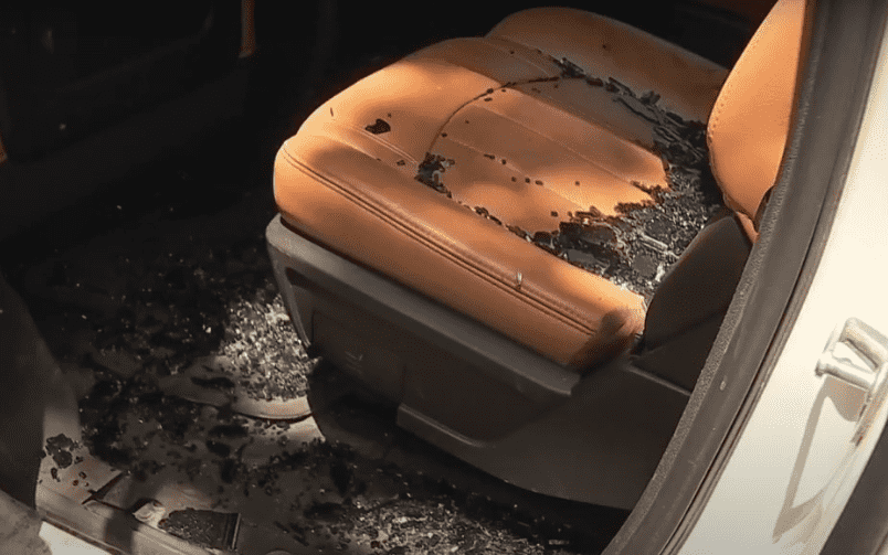 The piece of concrete tore a hole through the vehicle's roof and hit Morgan Brown in the forehead (