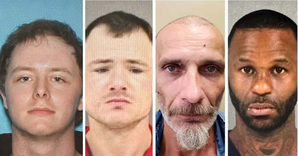 From left to right: Dylan Arrington, Corey Harrison, Jerry Raynes and Casey Grayson (Tyree Shariff/ Twitter)