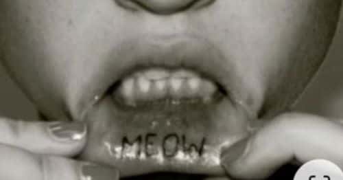 The original design that inspired the tattoo (Image: @wilmah10/TikTok)