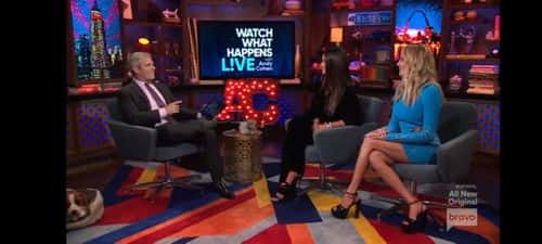 Andi Cohen interviews Lisa Barlow and Whitney Rose in the Season 3 Episode 2 preview clip (BravoTV?)