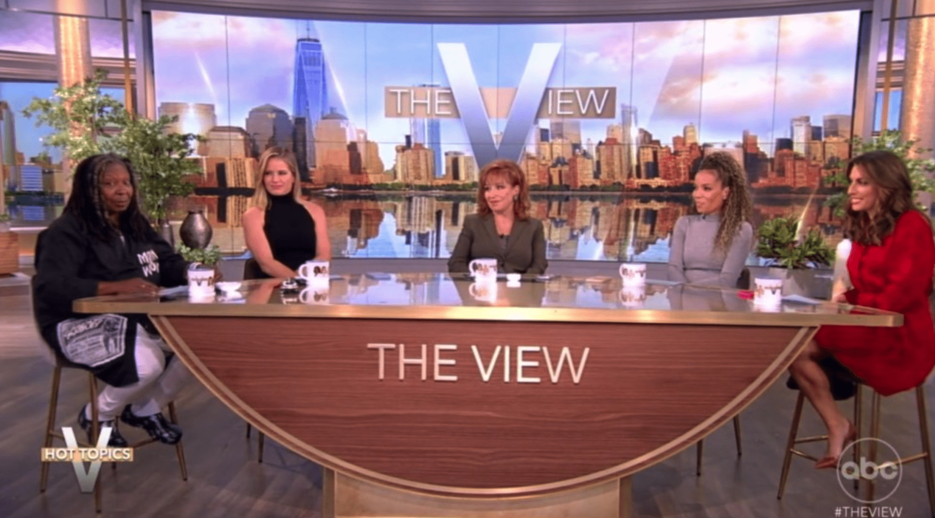 'The View' panellist tried to neutralize the situation between Whoopi Goldberg and Joy Behar (ABC)