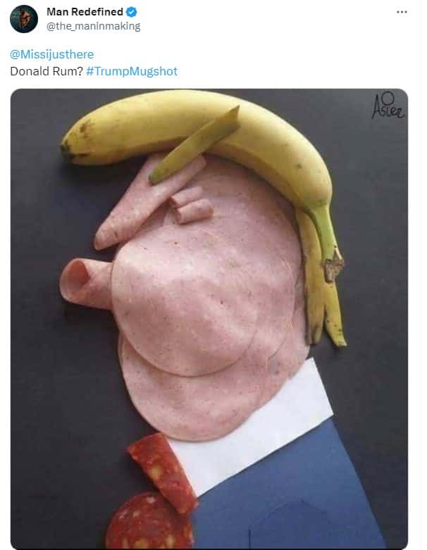 Mugshot meme #6 (X/@the_maninmaking)