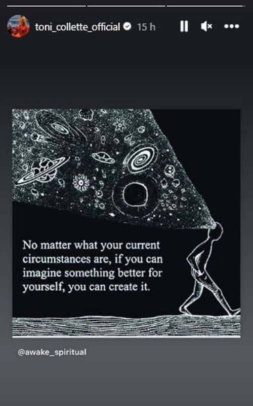 The actress shared a cryptic image on her Instagram stories (Toni Collette/ Instagram)