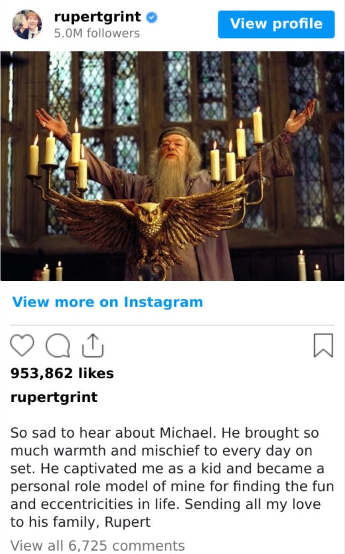 Sharing a magnificent image of Sir Michael Gambon, Rupert Grint shared a heartfelt tribute ( Instagram/@rupertgrint)