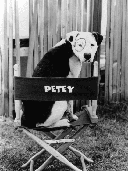 (Universal Pictures)