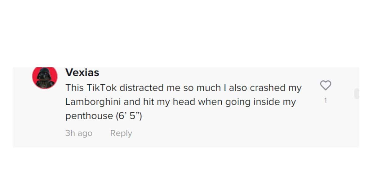 TikToker's curves were further accentuated by the light-colored swimsuit bottoms.(@bellapoarch/TikTok)