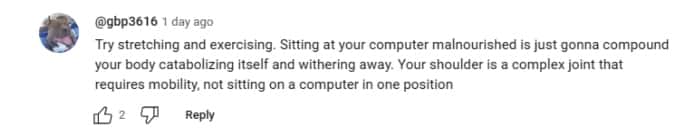 xQc's fan reaction (xQc Clips/ YouTube)