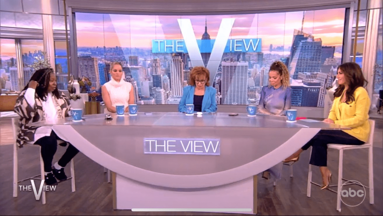 'The View' hosts discussing Hot Topic on Wednesday broadcast (@theview/Twitter)