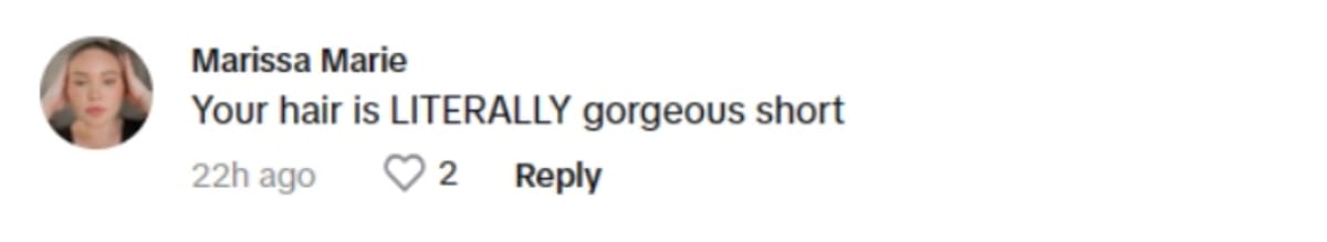 Alix Earle's fans love her short hair (alixearle/ TikTok)