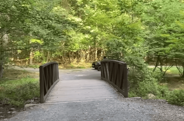 The trail where the incident occurred (