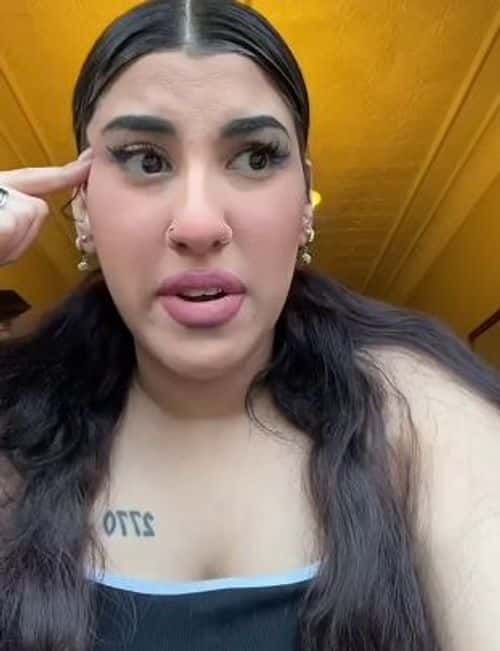 Christine revealing her story to her TikTok followers ( Christine Abadir/ TikTok)