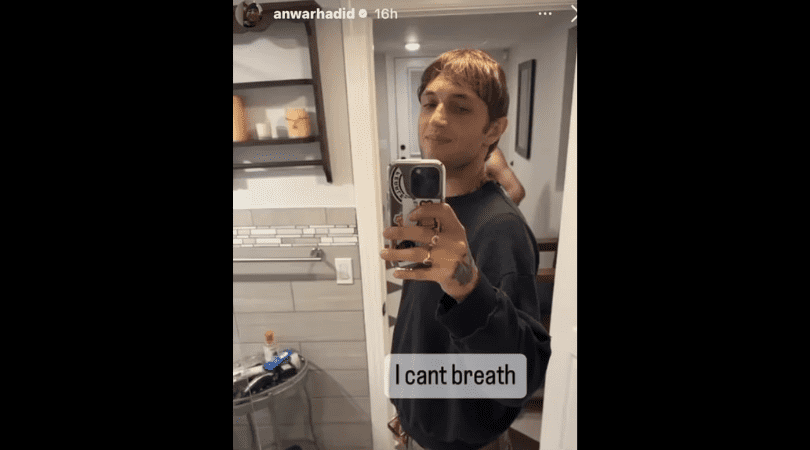 (Instagram@anwarhadid)
