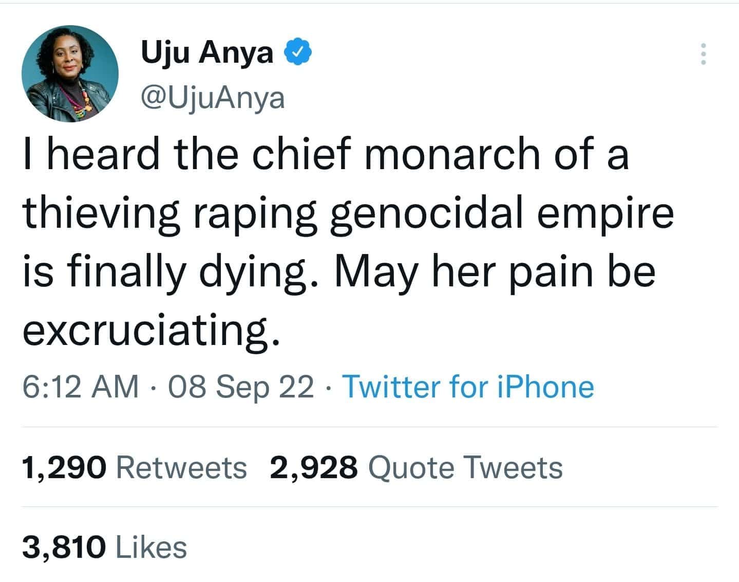 Image: UjuAnya/Twitter