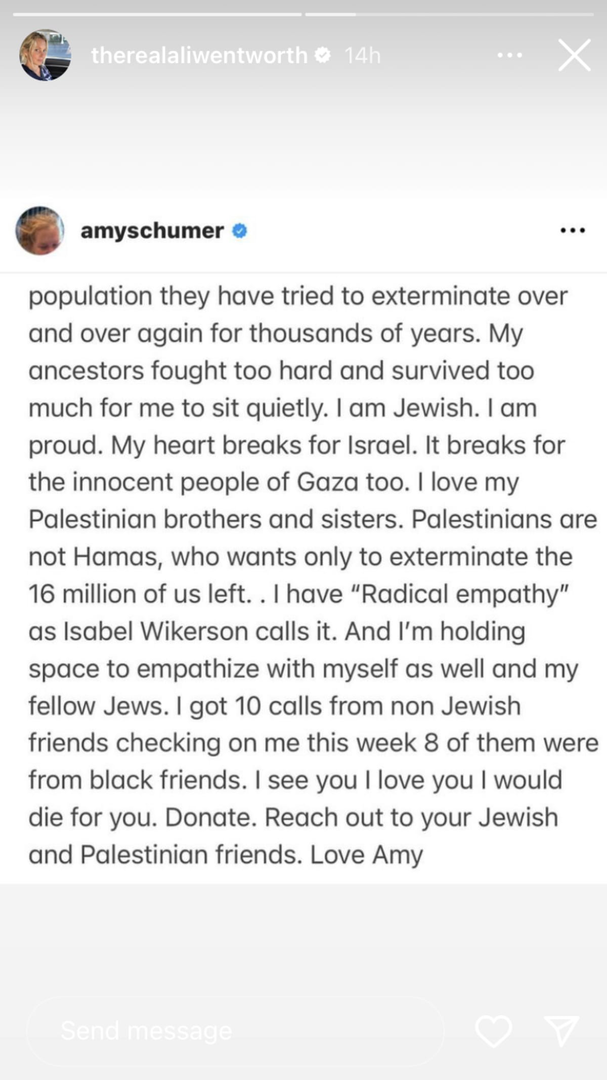 Amy Schumer requested her followers to stand by each other (@therealaliwentworth/Instagram)