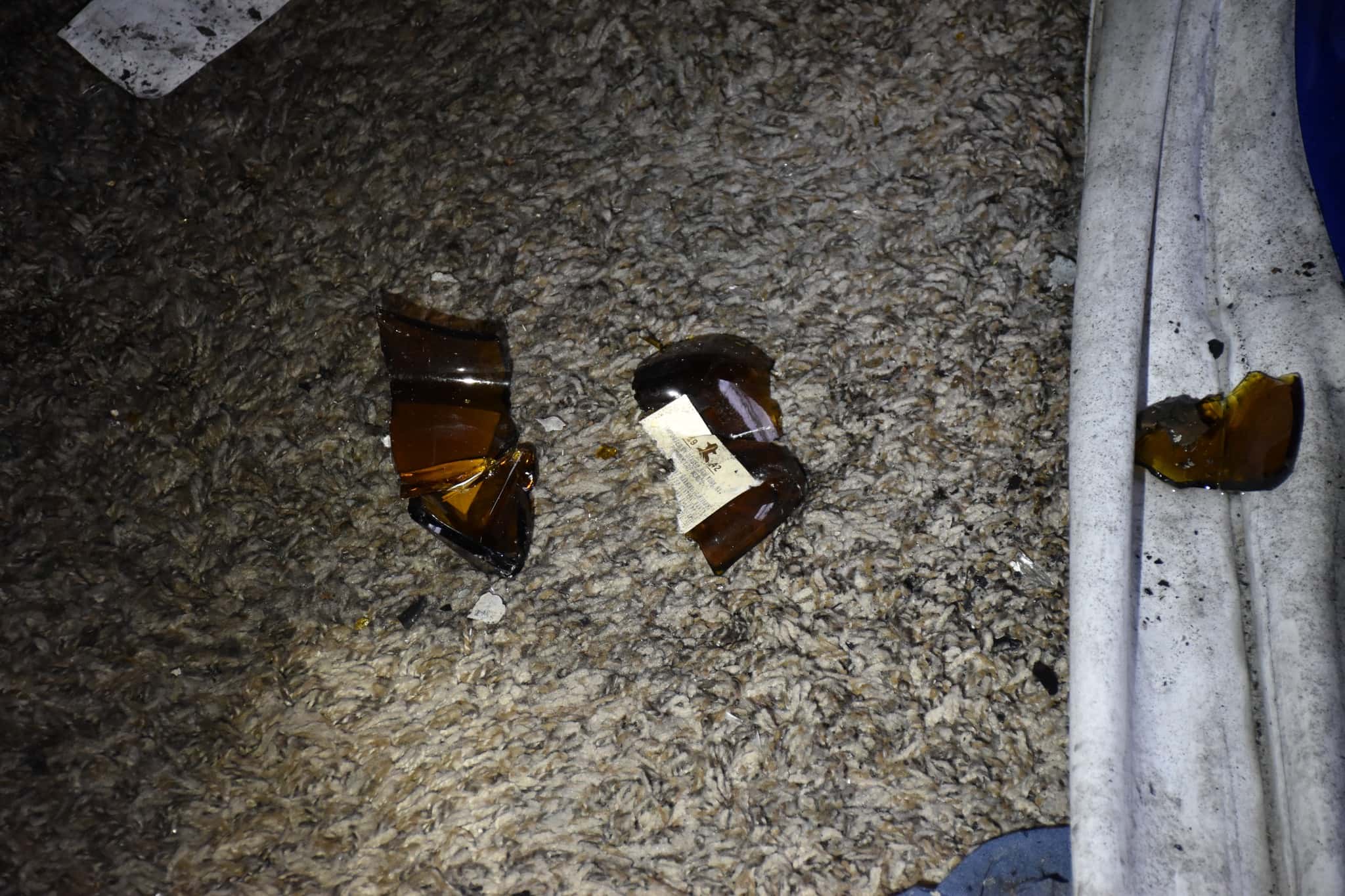 (Volusia Sheriff's Office/Facebook)
