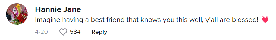 (bigfatpoppypants/TikTok)