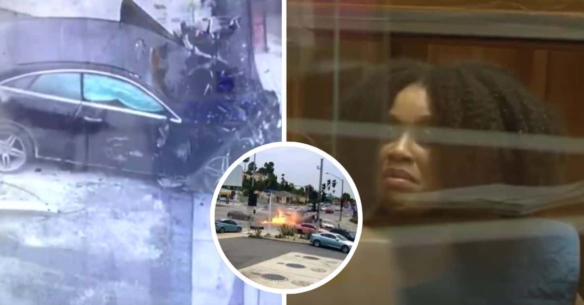 Nicole Linton has been charged with six counts of murder and five counts of vehicular manslaughter (@MarlaTellez/Twitter, @abc7chriscristi/Twitter, FOX 11 Los Angeles/YouTube screenshot)