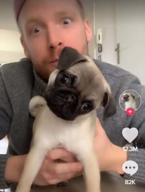 This dog's owner discovered that squeaking is the most effective approach to calm their dog