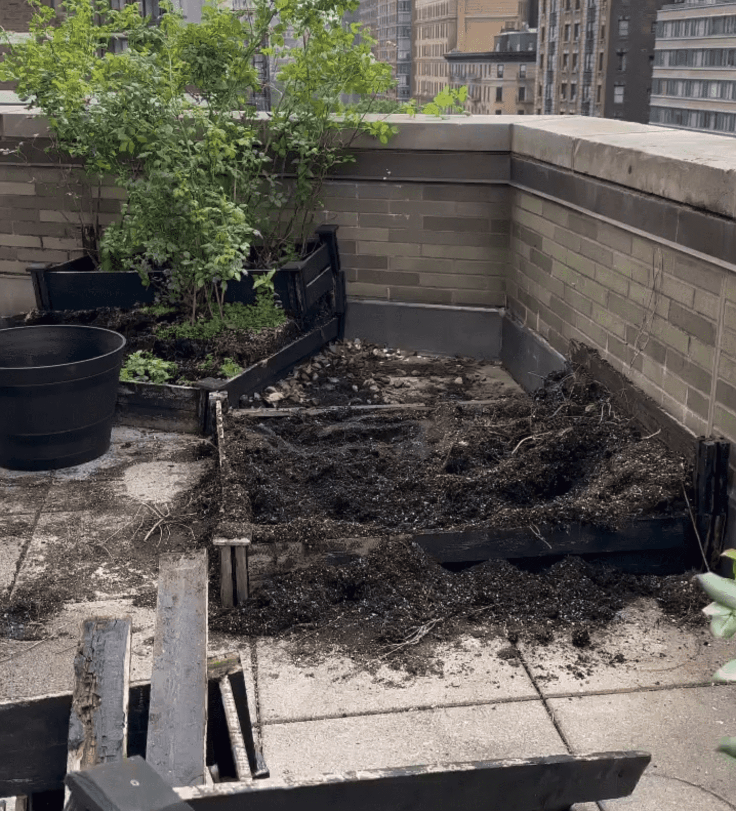 'GMA' star revealed that his rooftop was totally detsroyed (SamChampion/Instagram)