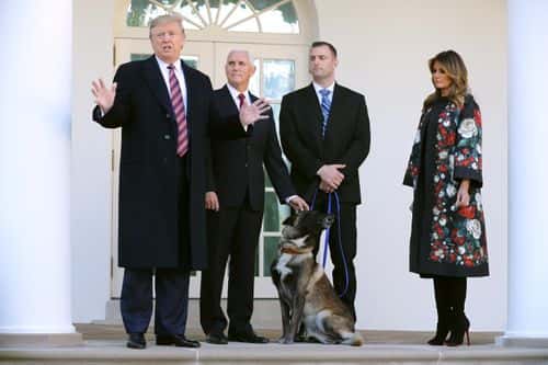 U.S. President Donald Trump, Vice President Mike Pence, an unidentified dog handler and first lady Melania Trump pose for photographs with Conan, the U.S. military K9 that assisted in the raid that killed ISIS leader Abu Bakr al-Baghdadi, on the Rose Garden colonnade at the White House November 25, 2019 in Washington, DC. Trump talked about how the dog was a hero and said he presented the animal with a medal and a plaque.