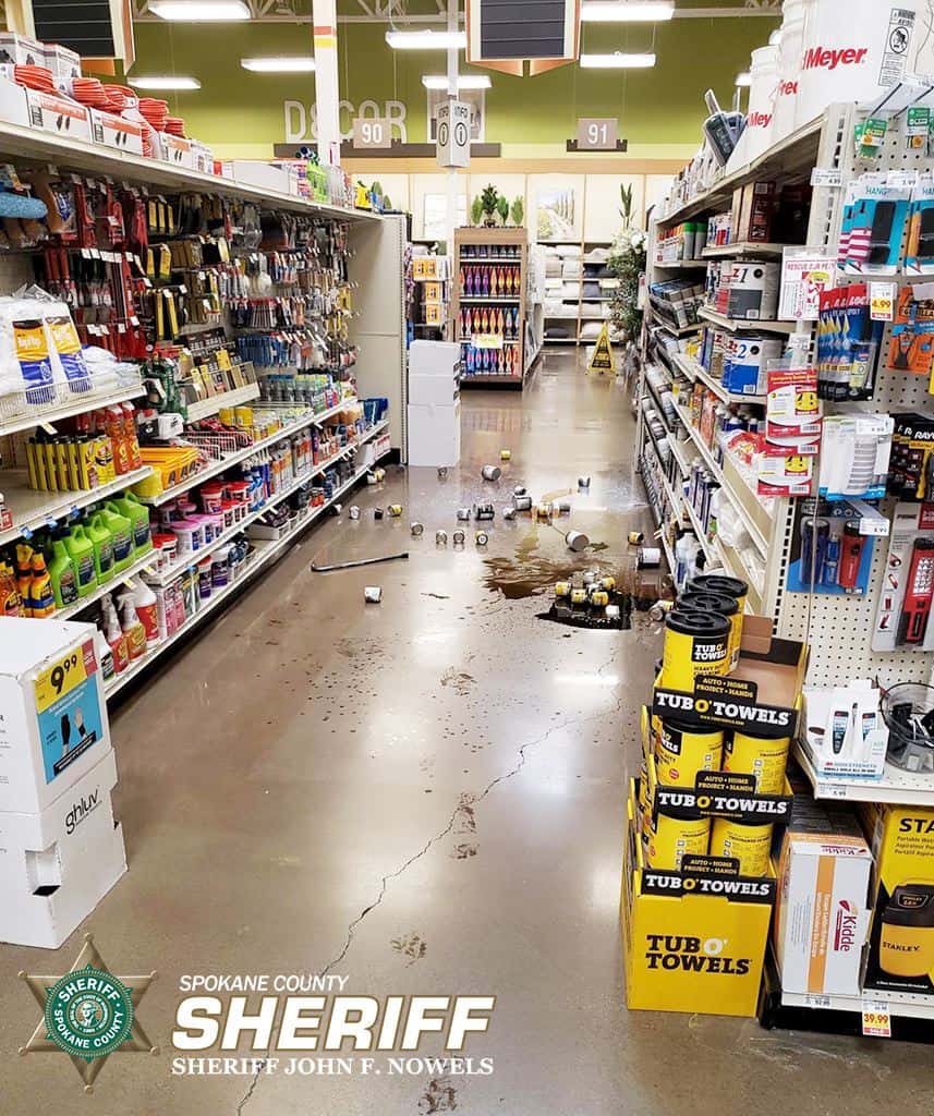 Daniel has damaged an estimated $2,000 worth of store merchandise(Spokane County Sheriff's Office)