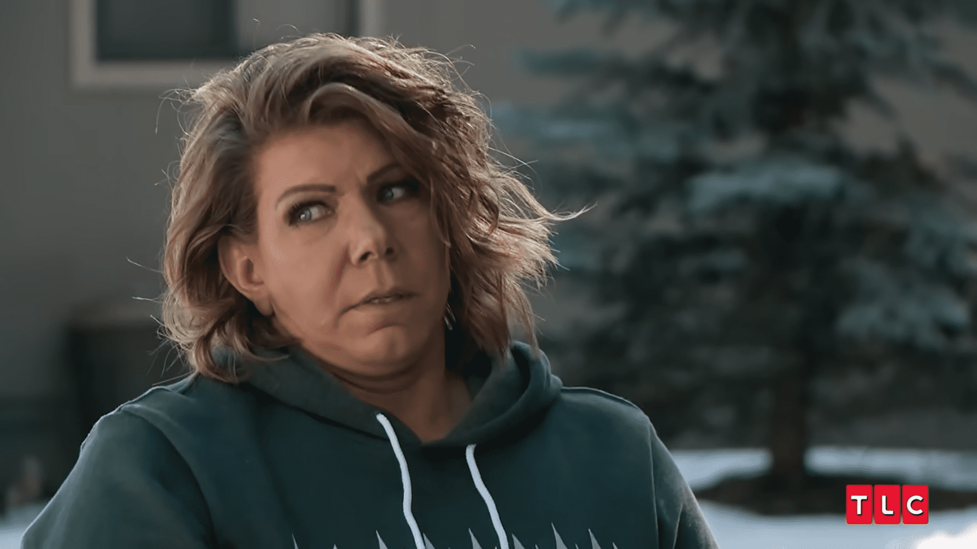 'Sister Wives' star Meri Brown reveals wanting to reconcile things with Kody Brown (TLC)