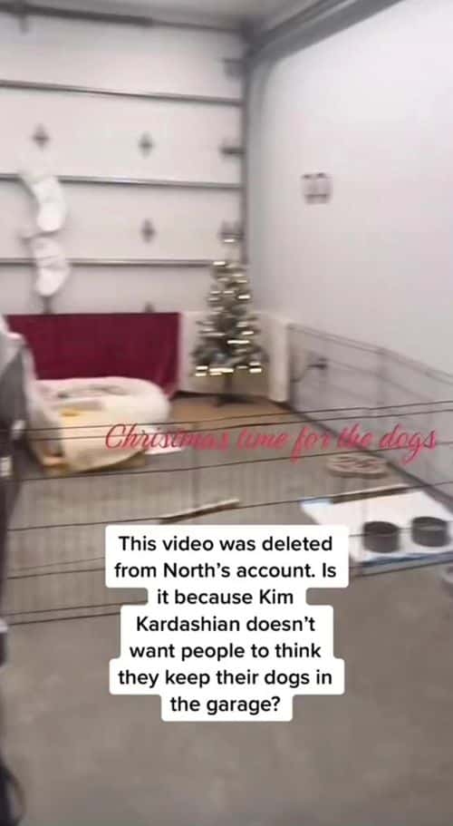 a garage with a dog crate, christmas tree
Fans questioned why the two Pomeranians, Sushi and Sake, were relegated to the garage when she lives in a mansion.
NeedTheDeets/TikTok