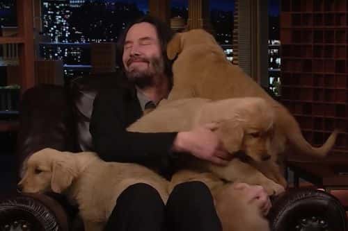 Jimmy Fallon and Keanu Reeves play Pup Quiz, explaining that he'd be asking both animal trivia questions (Youtube/@thetonightshowstarring jimmyfallon)