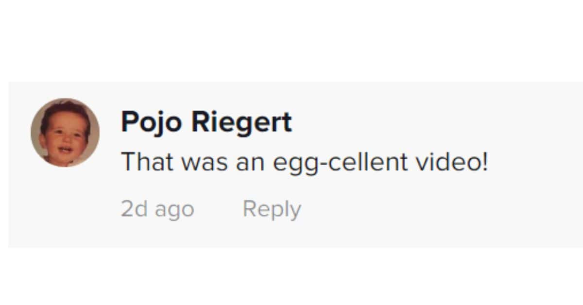 A user commented 'That was egg-cellent-video'