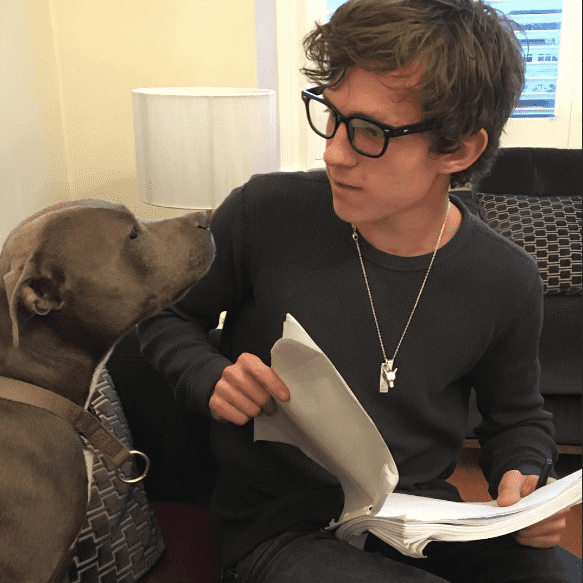 (tomholland2013/Instagram) 