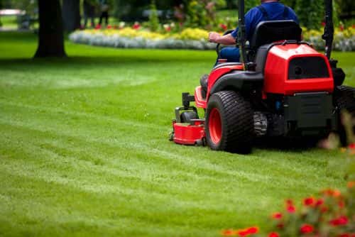Gardener in the park cutting grass with lawnmower