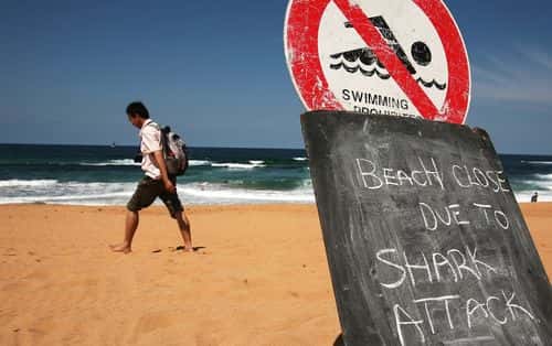 A man walks on the closed Avalon beach after a shark attack on a surfer on March 1, 2009 in Sydney, Australia. The shark attack was the third in as many weeks in Sydney waters, following previous attacks on a surfer at Bondi Beach and a Navy diver in Sydney Harbour.