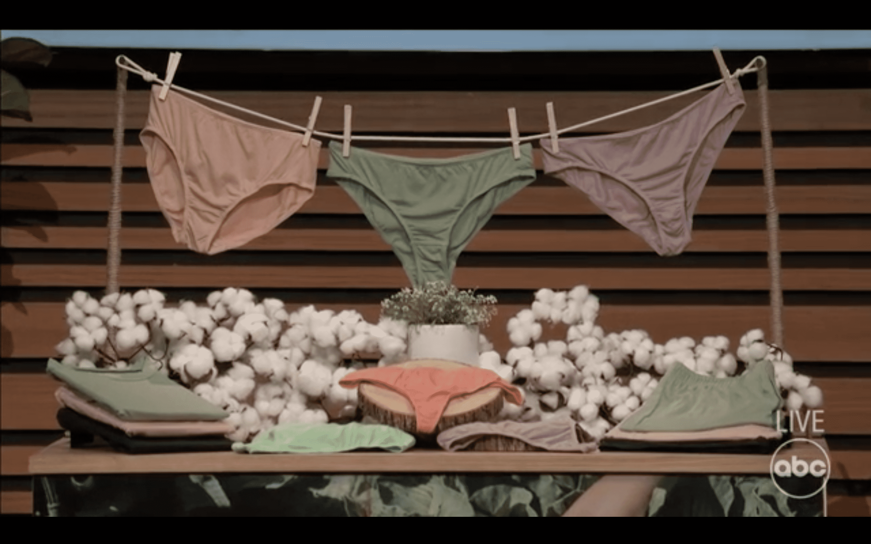 KENT underwear on 'Shark Tank' Season 14 (ABC)