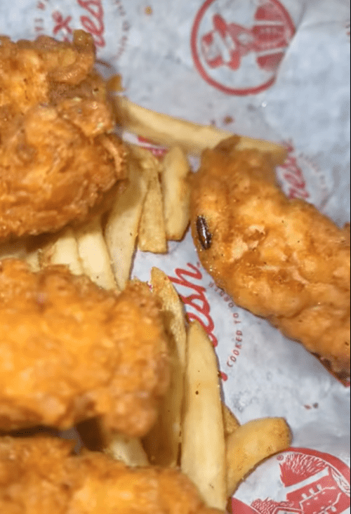 Woman claims cockroach was cooked into her meal at Florida restaurant (Source: Haile Kirkland/Facebook)