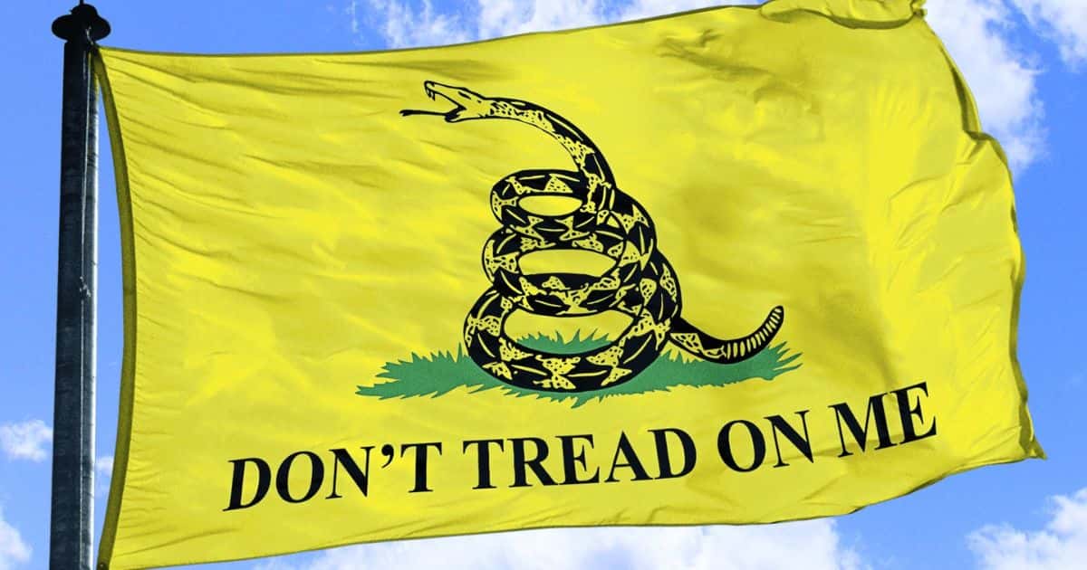 The Gadsden flag, featuring an illustration of a rattlesnake, had evolved into a well-liked emblem of unification among the American colonies (@Cooolwanyc/Twitter)