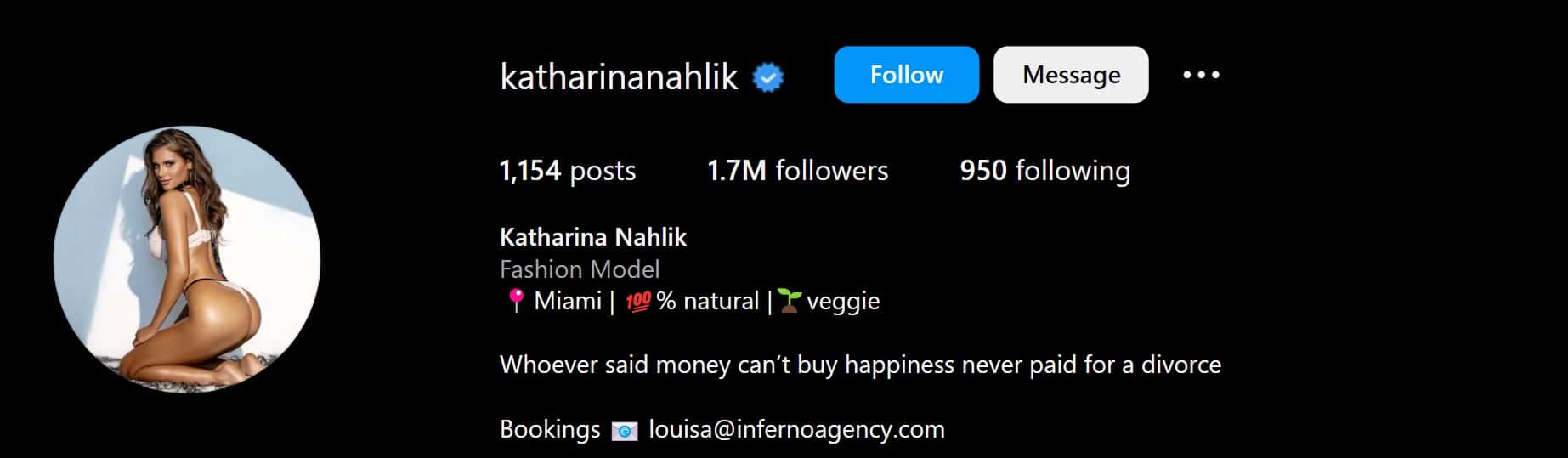 Katharina Mazepa takes a subtle dig at Lisa Hochstein amid her divorce from Lenny (Instagram/katharinanahlik)