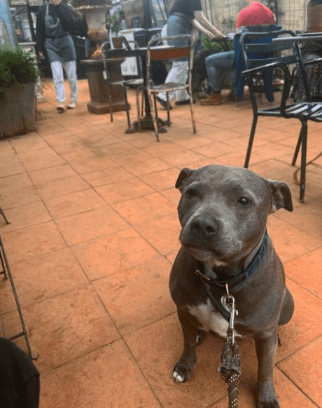 (tomholland2013/Instagram) 